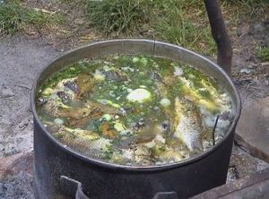 Сонник Юшка з риби: є, варити у сні бачити до чого сниться?