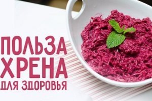 Вирощування хрону на дачі: поради по посадці та догляду, розведення секрети