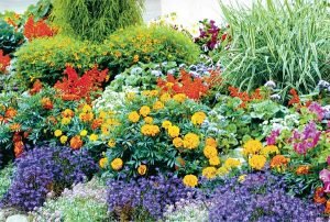 Лайфхаки для дачі: як красиво і оригінально оформити майданчик для відпочинку