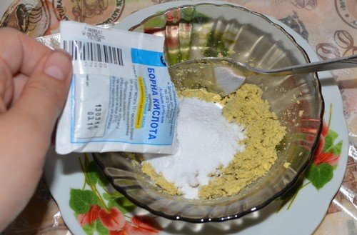 Як позбутися від домашніх мурашок назавжди: народні засоби і кошти з магазину