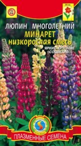 Люпин багаторічний і однорічний: посадка і догляд у відкритому грунті, фото рослини