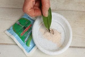 Корневін: ефективний і недорогий стимулятор росту коренів