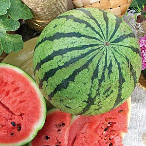 Кавун Пекінська радість і інші сорти середньоранніх і середньостиглих арбузов