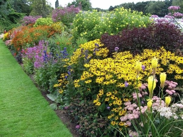 Міксбордер з багаторічників: принципи пристрою, схеми та назви рослин, покрокова відеоінструкція