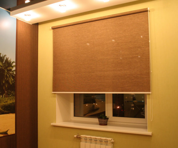 Жалюзі на пластикові вікна — 9 видів виробів