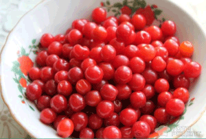 Повстяна вишня: опис сортів, особливості посадки і догляду, корисні властивості