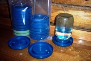 Зміст качок взимку в домашніх умовах: як зберегти відмінну яйценосність і продуктивність птахів в холодну пору року