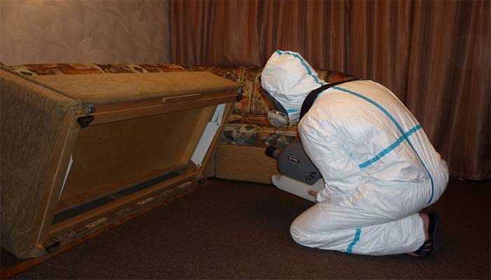 Як знищити тарганів у квартирі назавжди в домашніх умовах