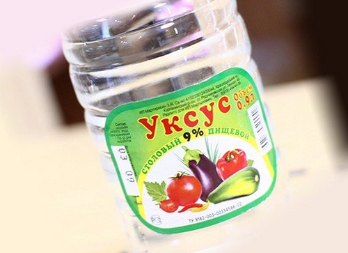 Домашній постільний клоп: фото, чим небезпечний і методи боротьби