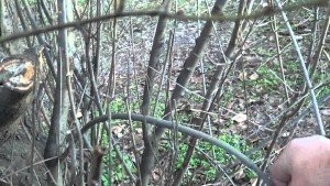 Як правильно зробити лук і стріли своїми руками