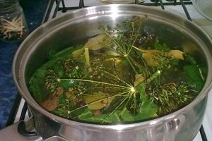 Волнушка — делікатес або поганка