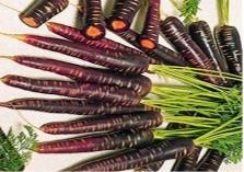 Цілющі властивості моркви: вітаміни і користь для здоровя