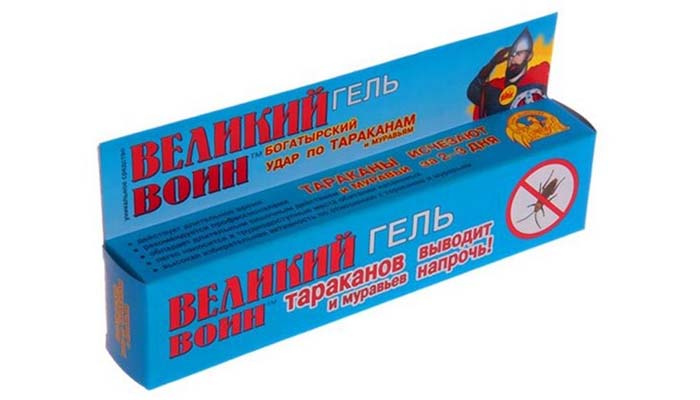 Отрута від тарганів: сама сильна і ефективна