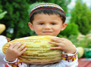 Все про дині і навіть більше: опис, властивості, склад, многоообразие сортів та їх особливості