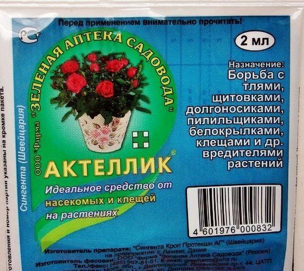 Павутина на перці: чим небезпечна і як з нею боротися