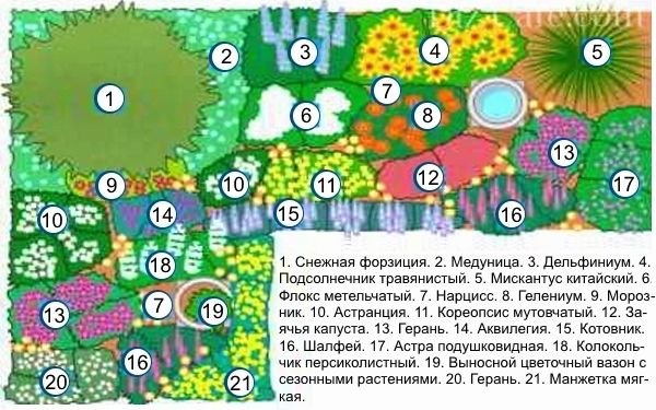 Як створити квітник безперервного цвітіння з багаторічників: схеми, покрокова інструкція, фото і відео