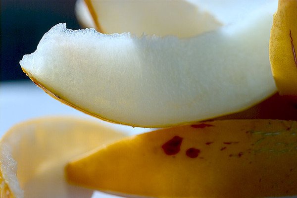 Диня для Підмосковя: кращі сорти для вирощування на дачній ділянці