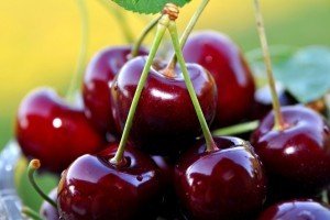 Опис сортів самобесплодной чорної черешні: Мелітопольська, Дайбера і Французька