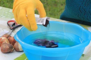 Які багаторічні квіти можна посадити восени в саду: види культур, поради по посадці, правила догляду та фото