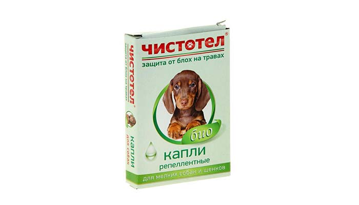 Краплі від бліх для собак і цуценят: як капати і які краще