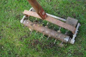 Вибираємо аератор для газону і вертикутер: як використовується ця садова техніка і як зробити її своїми руками