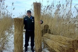 Як зробити тин на дачі своїми руками: інструкція, матеріали і рекомендації з виготовлення