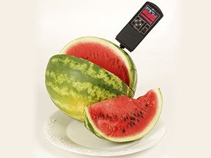 Астраханський кавун: історія популярності і поради по вирощуванню