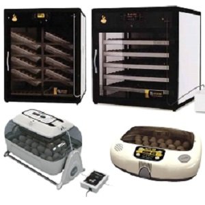 Інкубатор для гусячих яєць: види, будова, технічні характеристики, фото і відео