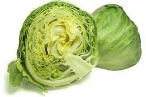 Салат Айсберг — особливості вирощування та догляду