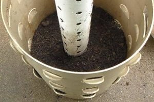 Вирощування полуниці в трубах ПВХ вертикально