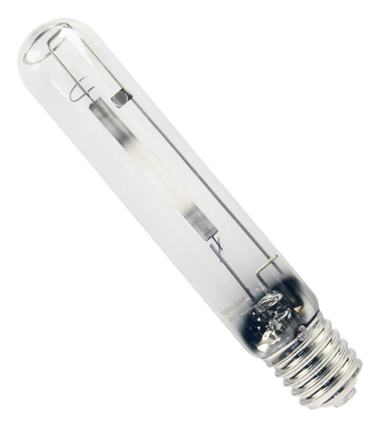 Домашня полуниця: вирощуємо за 10 кроків