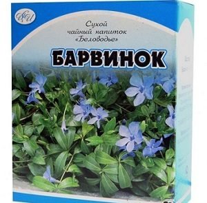 Барвінок — посадка й догляд у відкритому грунті