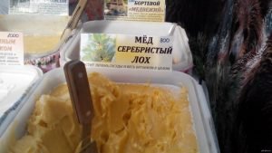 Лох сріблястий: фото та опис рослини, корисні властивості та застосування