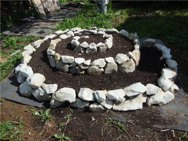 Як зробити красиву клумбу з багаторічників: ідеї, підбір кольорів, покрокова інструкція, схеми та фото