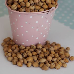 Як виростити вишню з кісточки в домашніх умовах