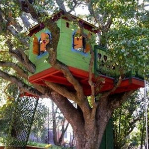 Як побудувати будинок на дереві — фото, проекти і відео