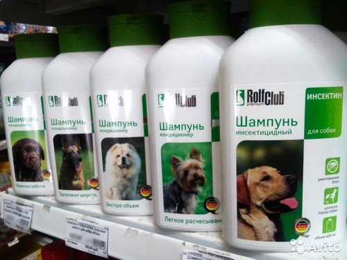 Як вивести бліх у собаки в домашніх умовах народними засобами і засобами з магазину