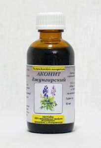 Дуже отруйний квітка Аконіт — види, фото і застосування в медицині