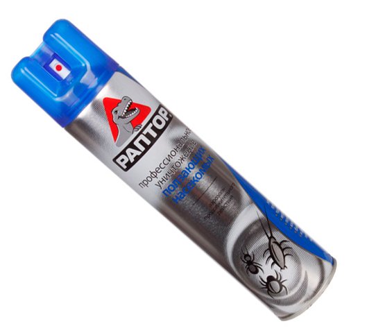 Гніздо клопів   фото, як виглядає і де шукати в квартирі