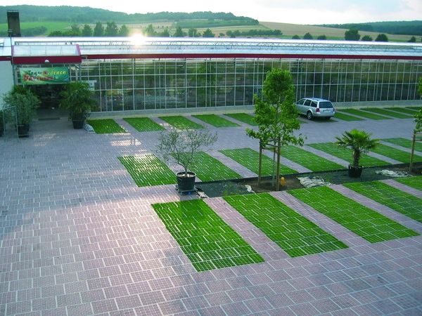 Як зробити экопарковку на дачі своїми руками — відео