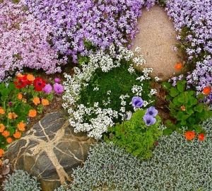 Грунтопокривні багаторічні садові квіти: фото та назви рослин, поради по догляду