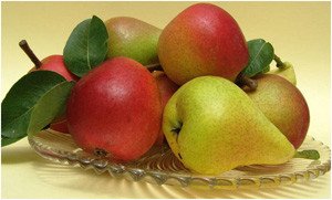 Груша: користь і шкода, калорійність, вживання при вагітності і годуванні