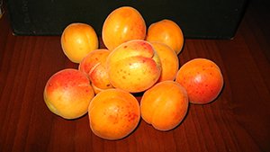 Абрикос: усе найважливіше та найцікавіше про абрикосах