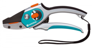 Обрізка винограду восени для новачків: практичні поради досвідчених виноградарів