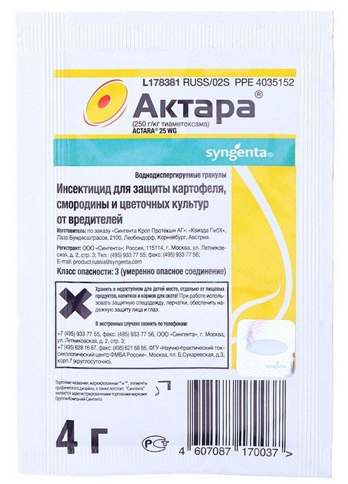 Як позбутися від попелиці за допомогою перевірених засобів