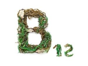 Консервований зелений горошок: корисні властивості та можливу шкоду продукту, його калорійність