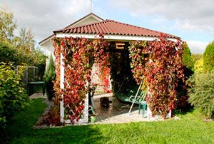 Як швидко і дешево зробити альтанку для дачі своїми руками: покрокова інструкція, фото і відео