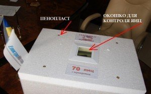 Інкубатор «Ідеальна квочка»: технічні особливості, основні переваги та недоліки