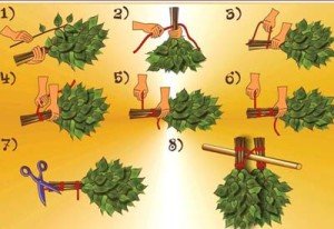 Як і коли заготовляти віники для лазні: строки заготівлі, правила сушіння, вязки, зберігання та запарювання банних віників, фото і відео