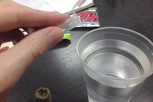 Препарат Епін — реальна допомога кімнатним рослинам